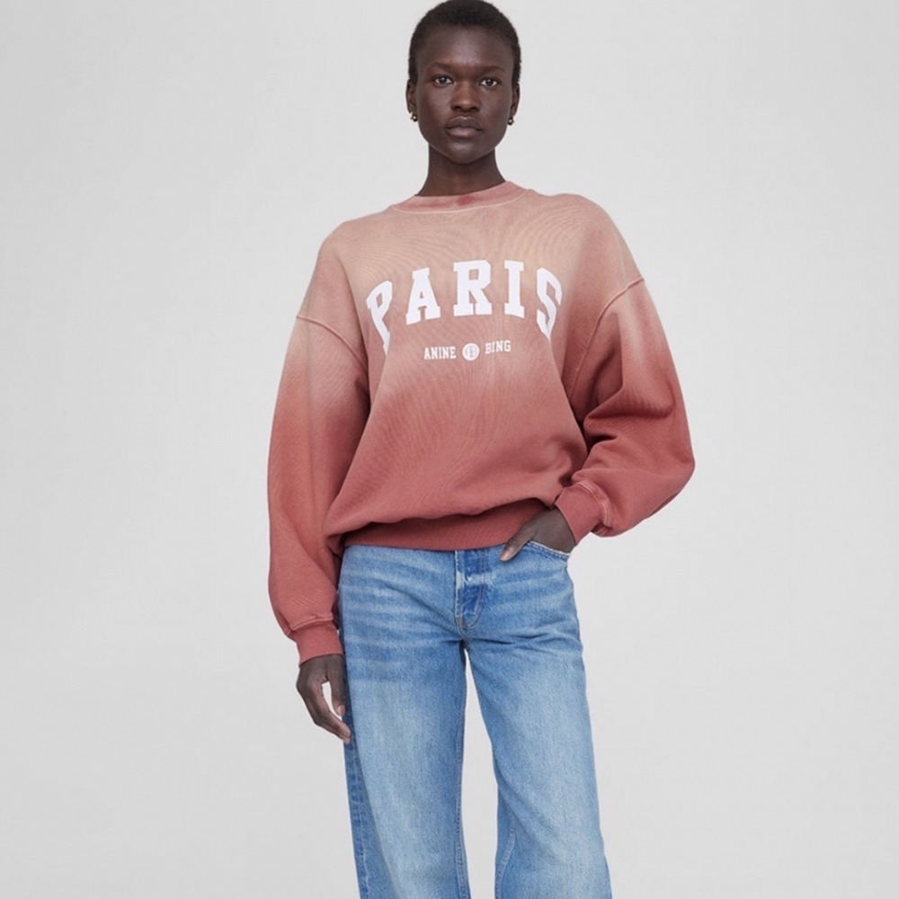 Anine Bing Paris Sweatshirt Terracotta Ombre Sun Faded Graphic Pullover Crewneck